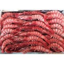 Gamba roja Grande nº1 caja 1kg