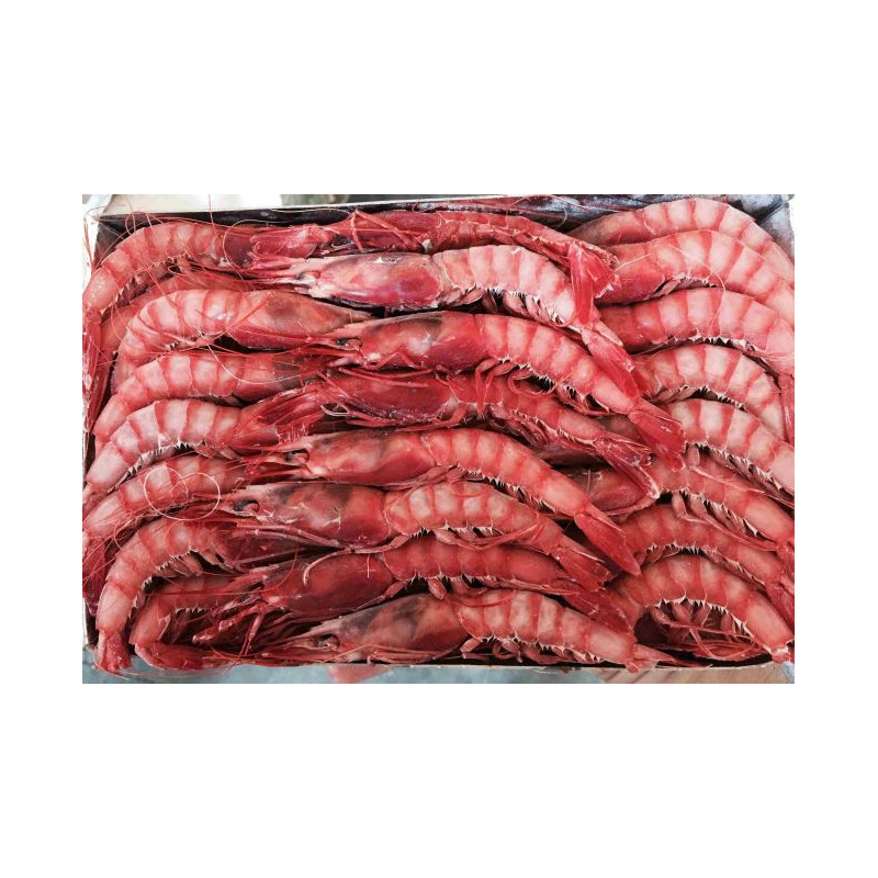 Gamba roja Grande nº1 caja 1kg