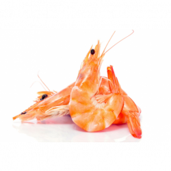 Langostino cocido Grande caja 2kg.