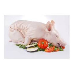 Cochinillo 4-5 kg.